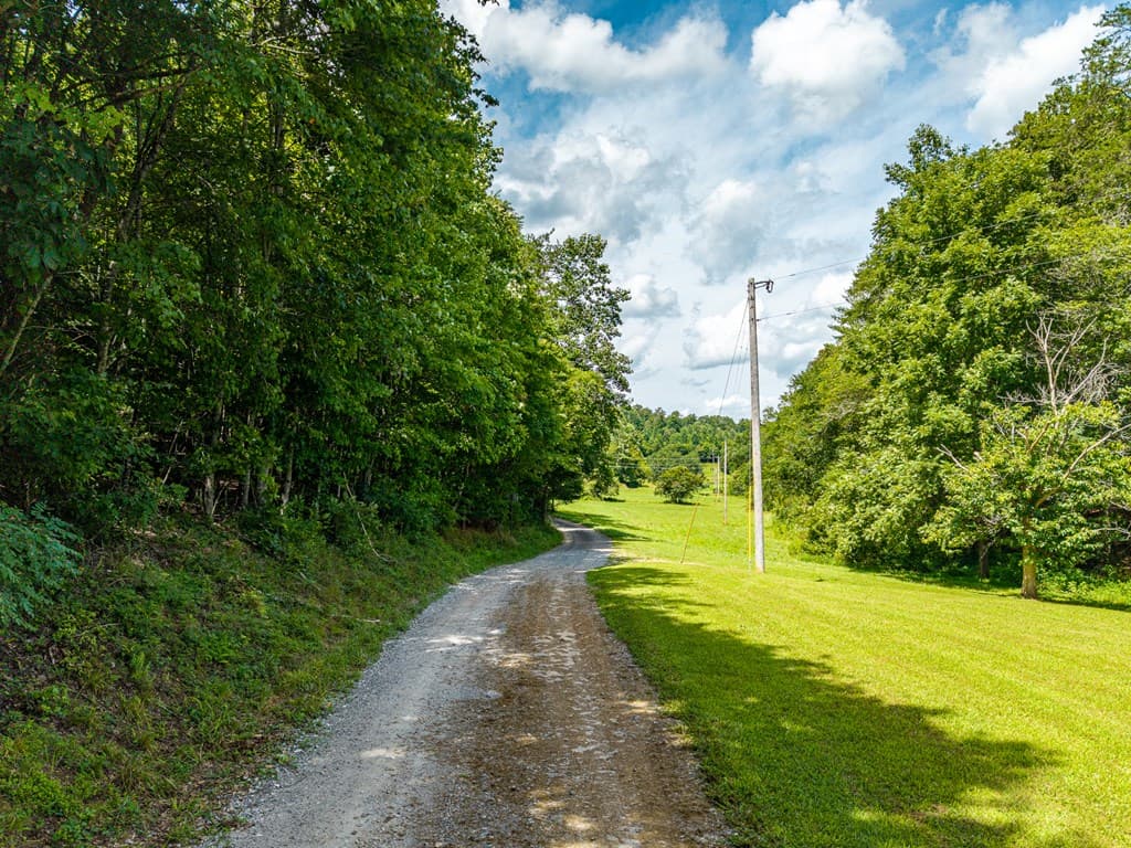 0 White Pine Road, Mccaysville GA 30555 - Photo