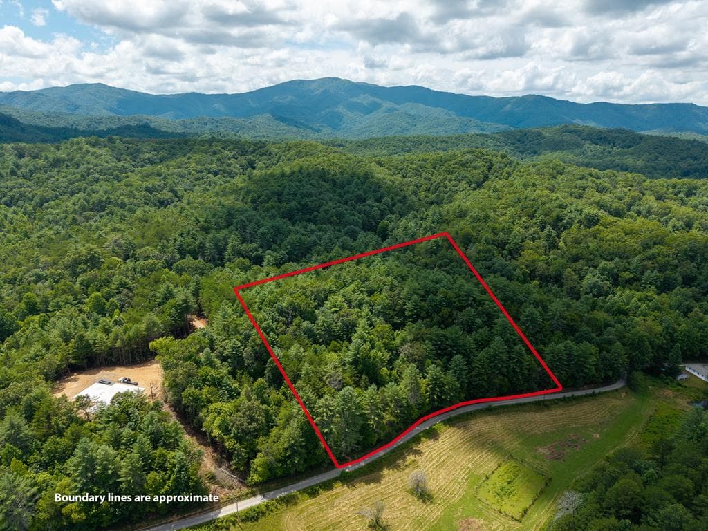 0 White Pine Road, Mccaysville GA 30555 - Primary photo