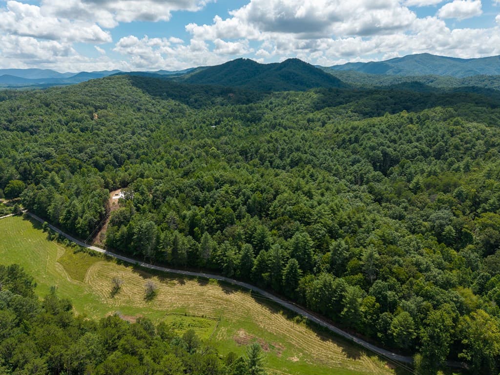 0 White Pine Road, Mccaysville GA 30555 - Photo