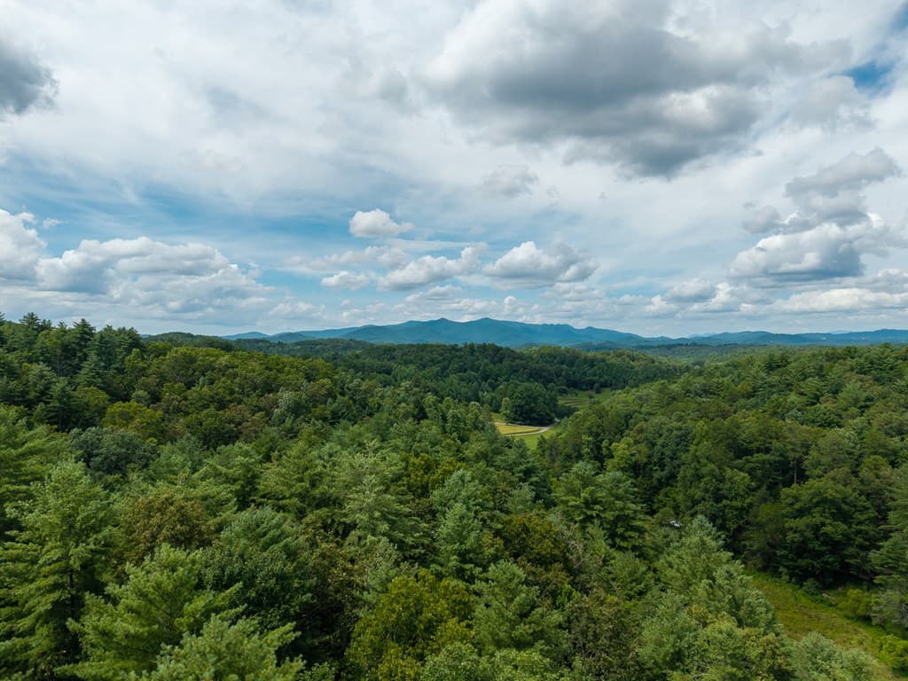 0 White Pine Road, Mccaysville GA 30555 - Photo