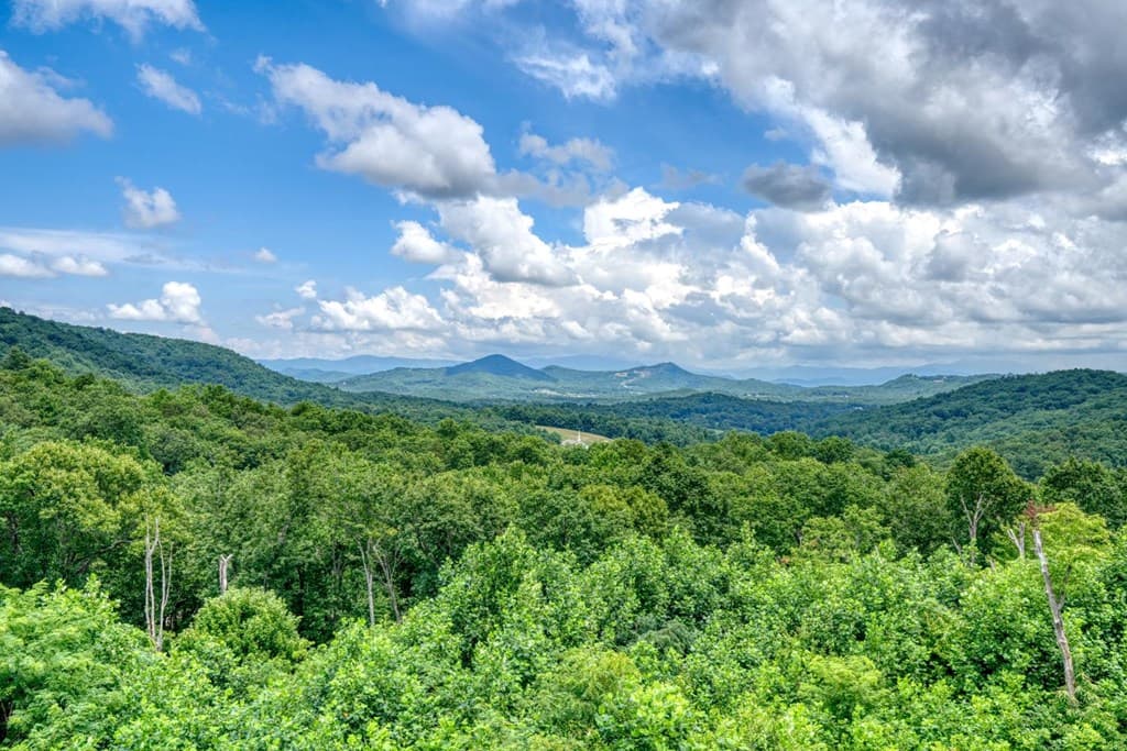 25 Ivy Log Heights Spur, Young Harris GA 30582 - Photo