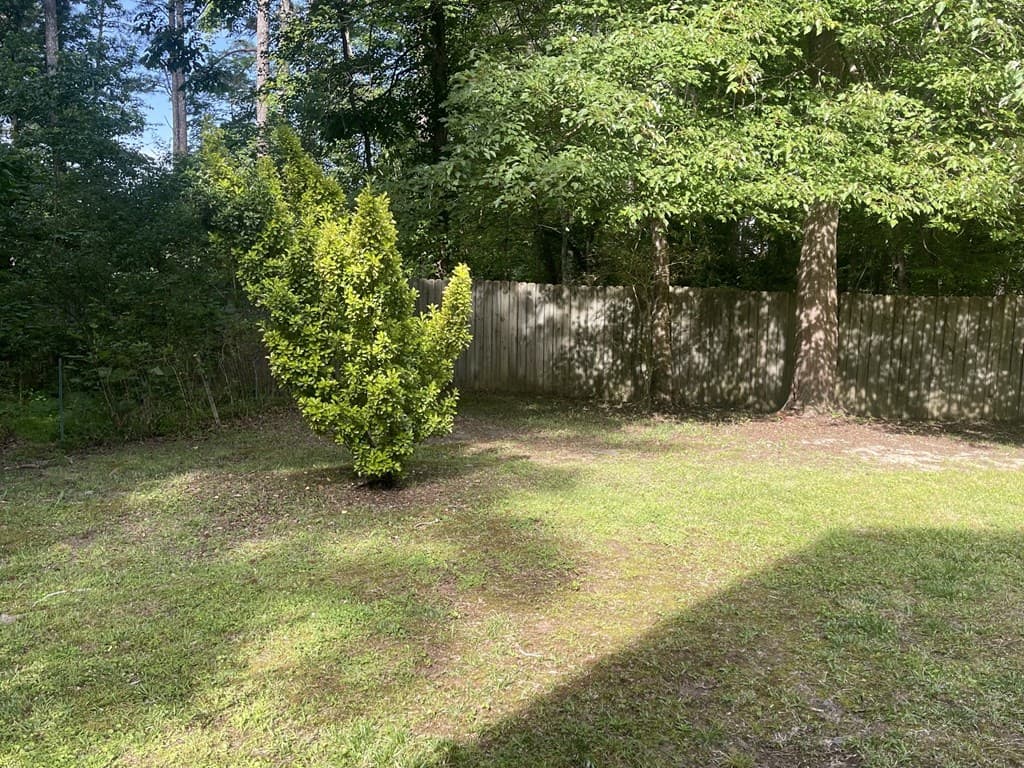 96 Frances Drive, Dallas GA 30157 - Photo
