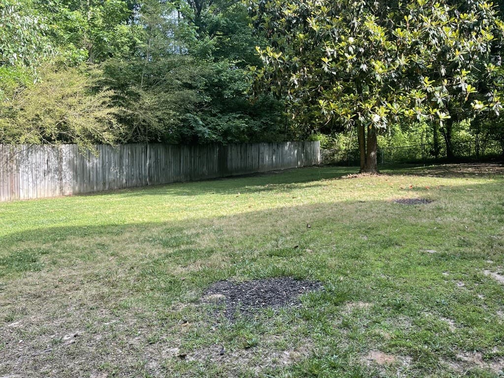 96 Frances Drive, Dallas GA 30157 - Photo