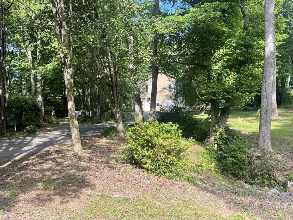 96 Frances Drive, Dallas GA 30157 - Photo