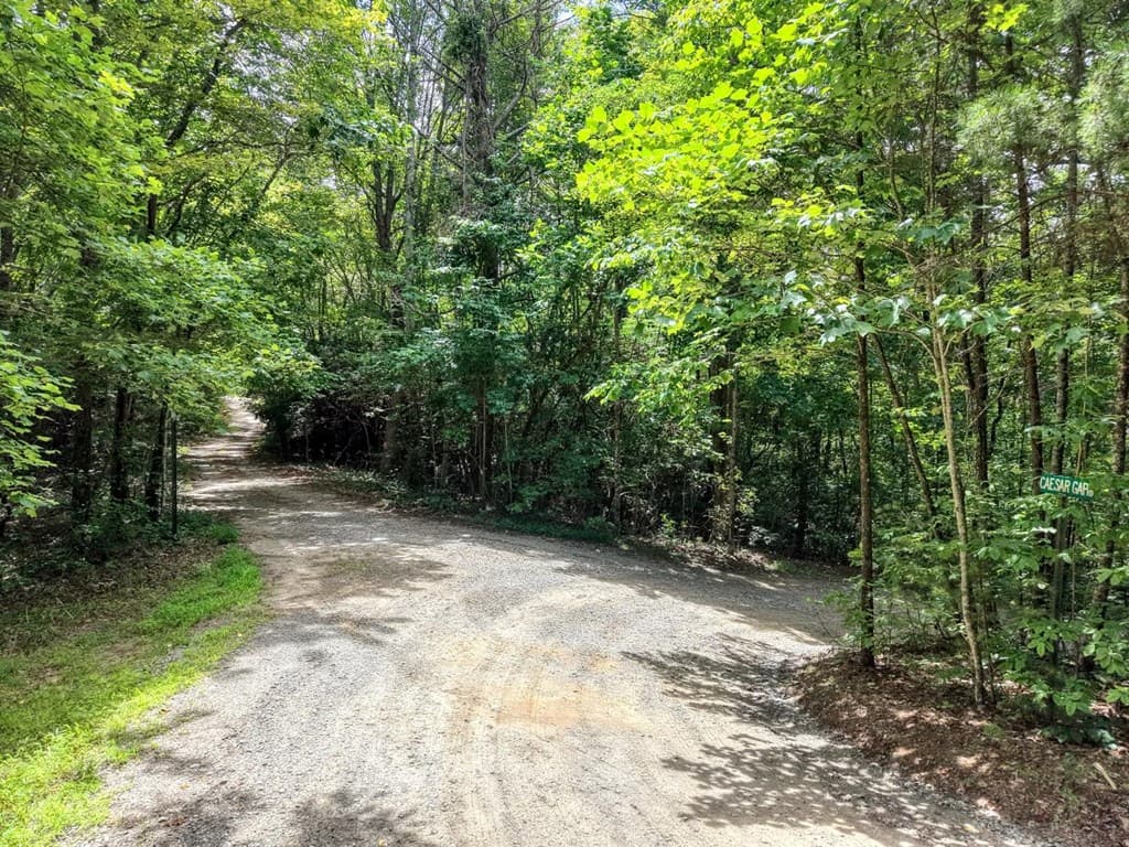 34 AC Caesar Gap Road, Hiawassee GA 30546 - Photo