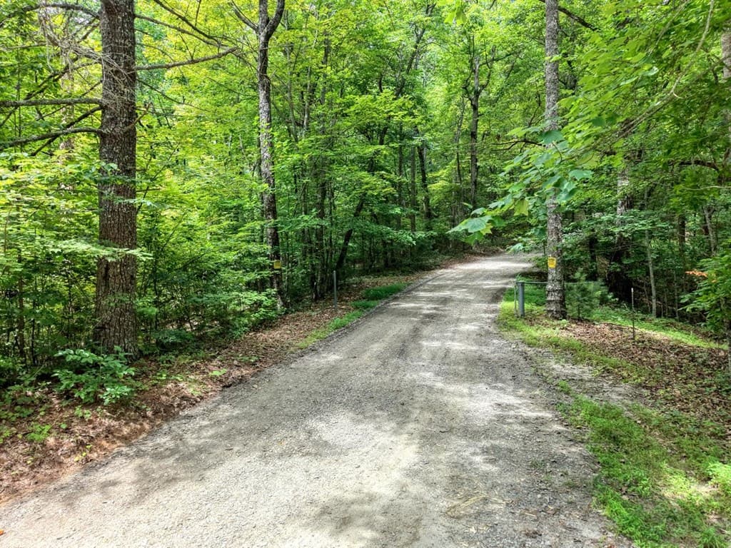 34 AC Caesar Gap Road, Hiawassee GA 30546 - Photo