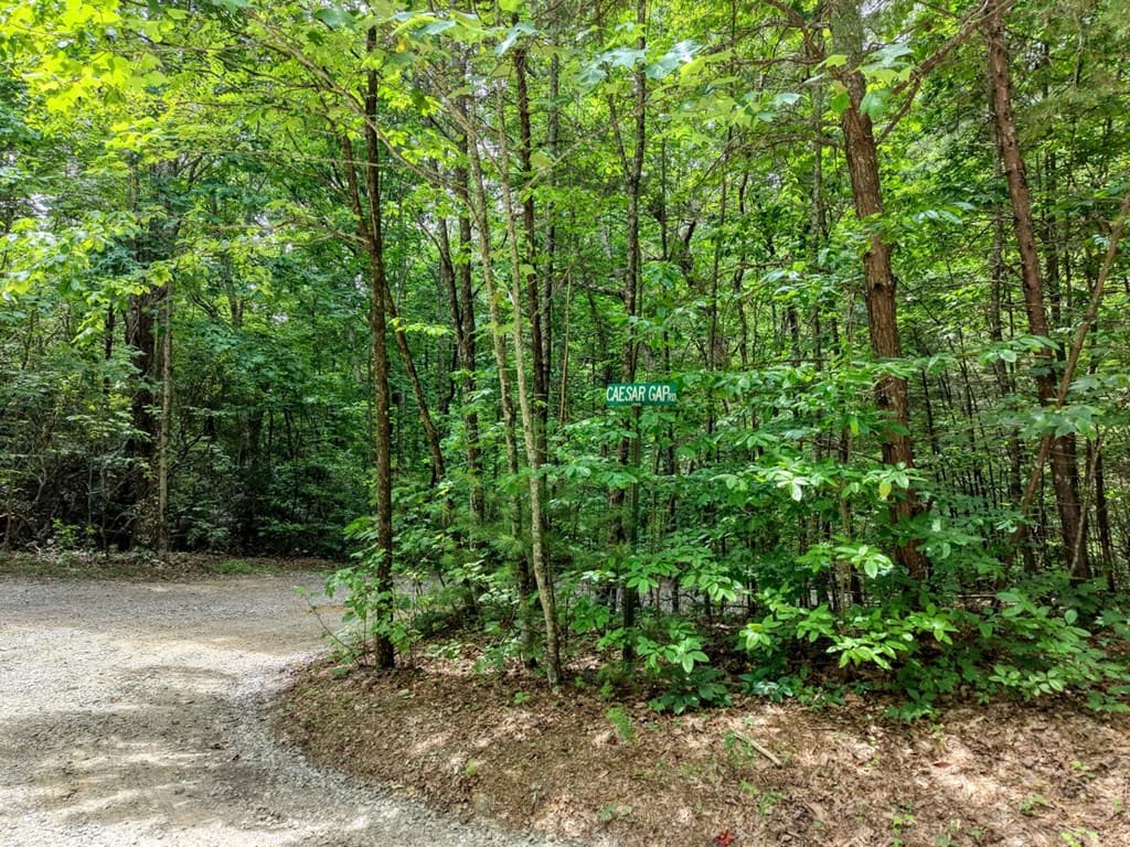 34 AC Caesar Gap Road, Hiawassee GA 30546 - Photo