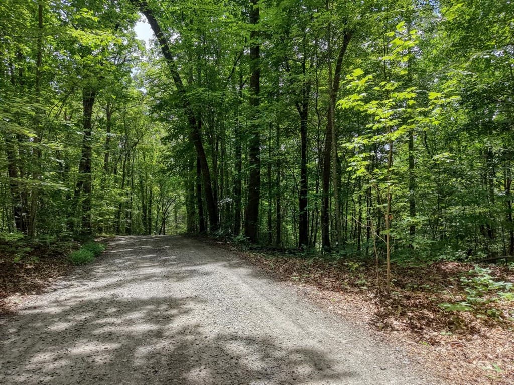 34 AC Caesar Gap Road, Hiawassee GA 30546 - Photo