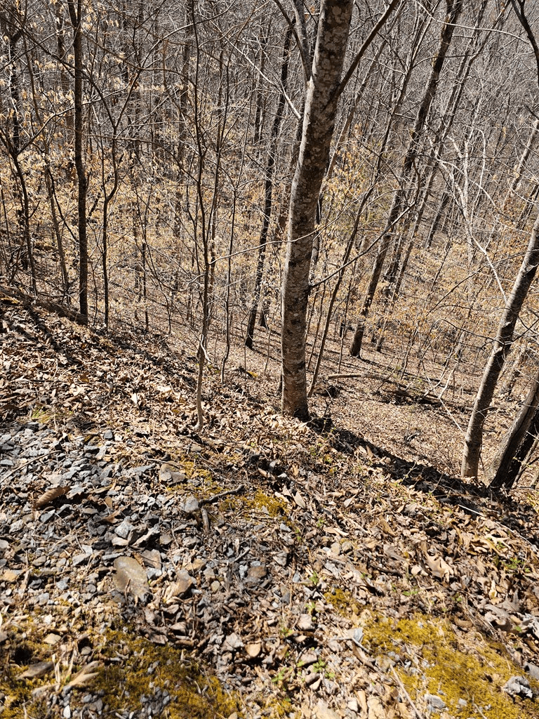 LOT26 Oak Ridge Way, Ellijay GA 30536 - Photo