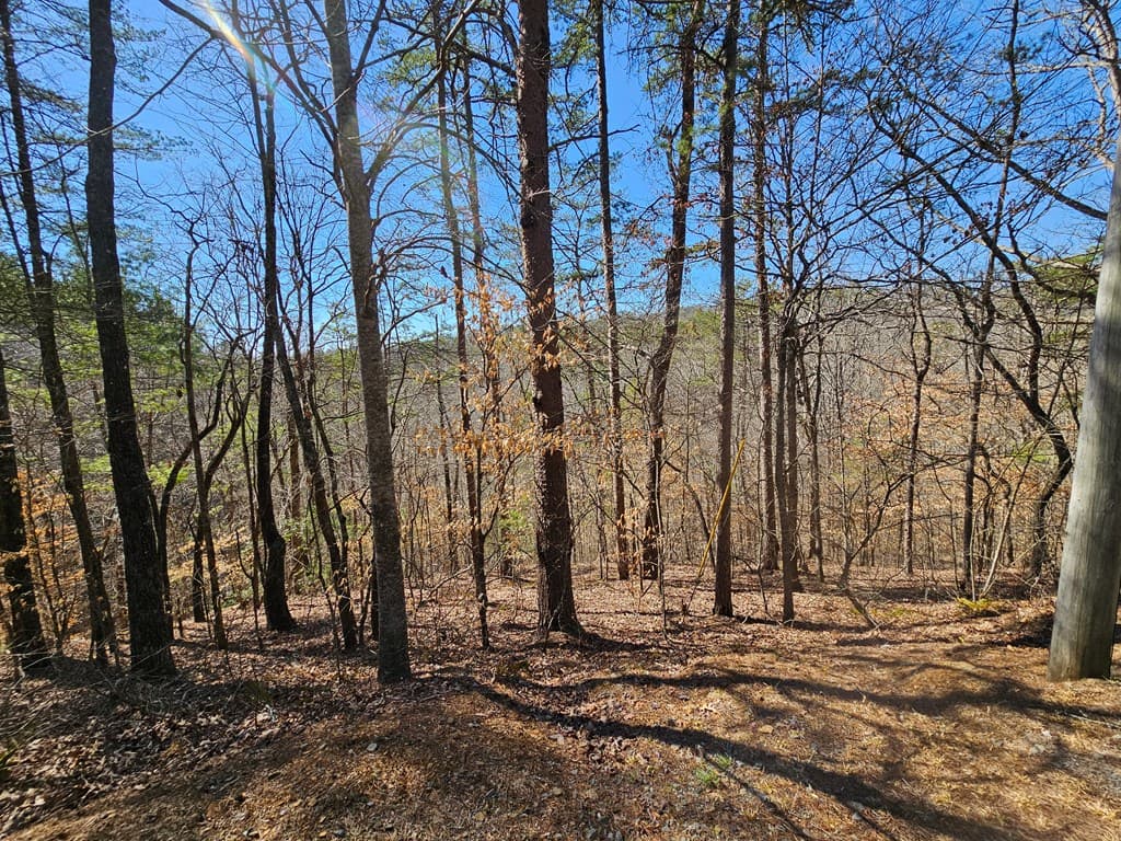 LOT26 Oak Ridge Way, Ellijay GA 30536 - Photo