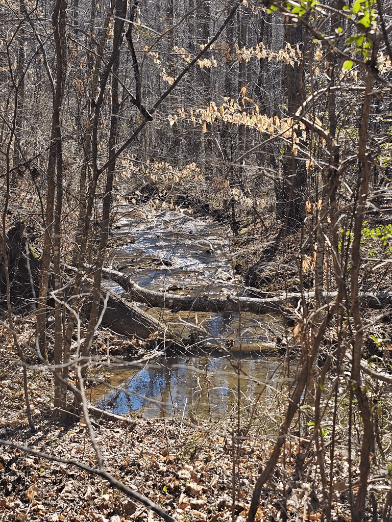 LOT26 Oak Ridge Way, Ellijay GA 30536 - Photo