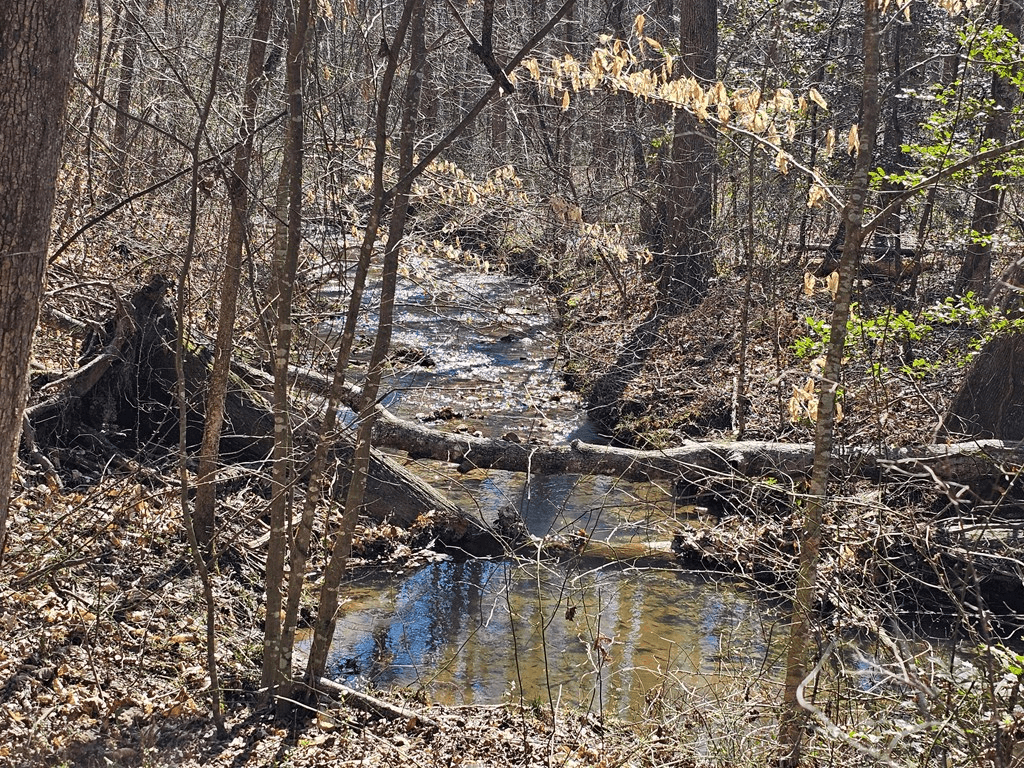 LOT26 Oak Ridge Way, Ellijay GA 30536 - Photo