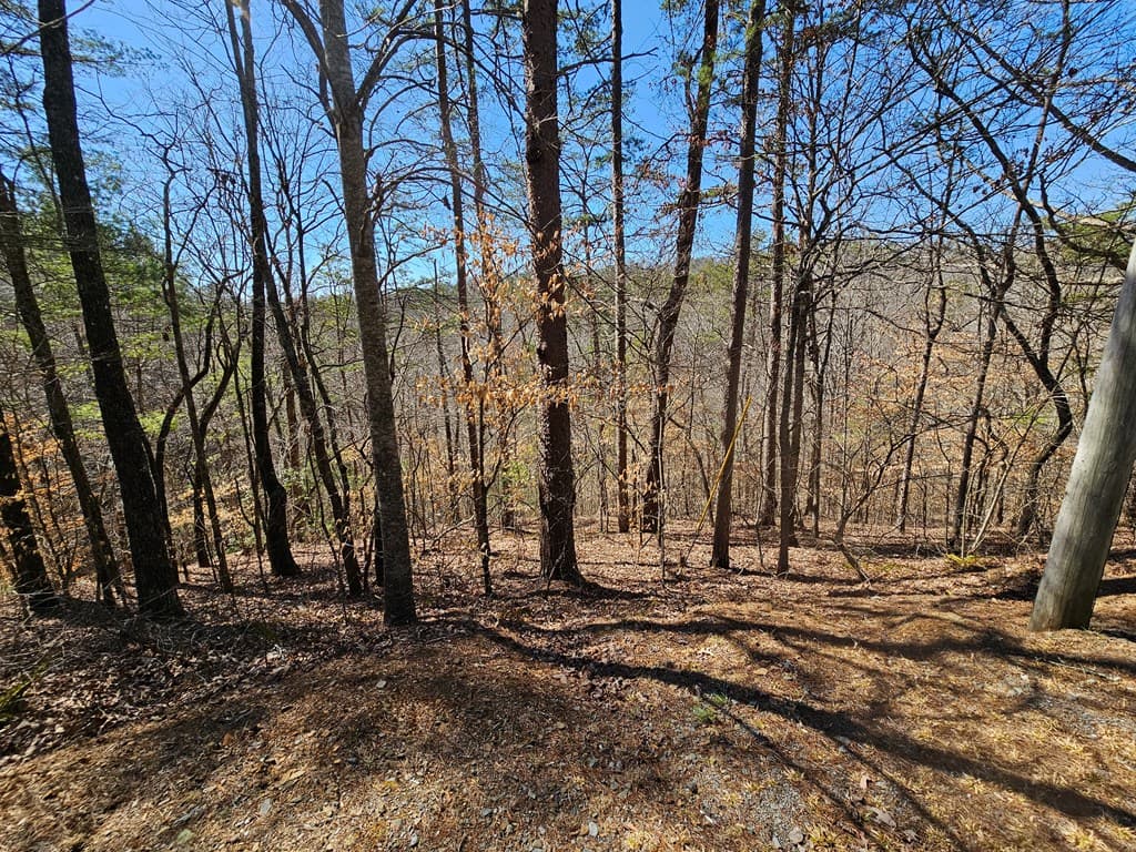 LOT26 Oak Ridge Way, Ellijay GA 30536 - Photo