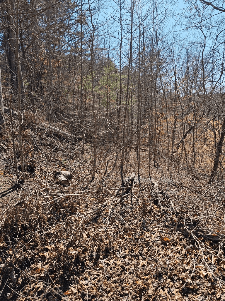 LOT26 Oak Ridge Way, Ellijay GA 30536 - Photo
