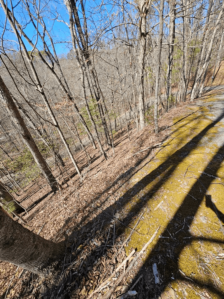 LOT26 Oak Ridge Way, Ellijay GA 30536 - Photo