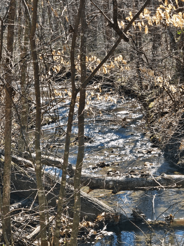 LOT26 Oak Ridge Way, Ellijay GA 30536 - Primary photo