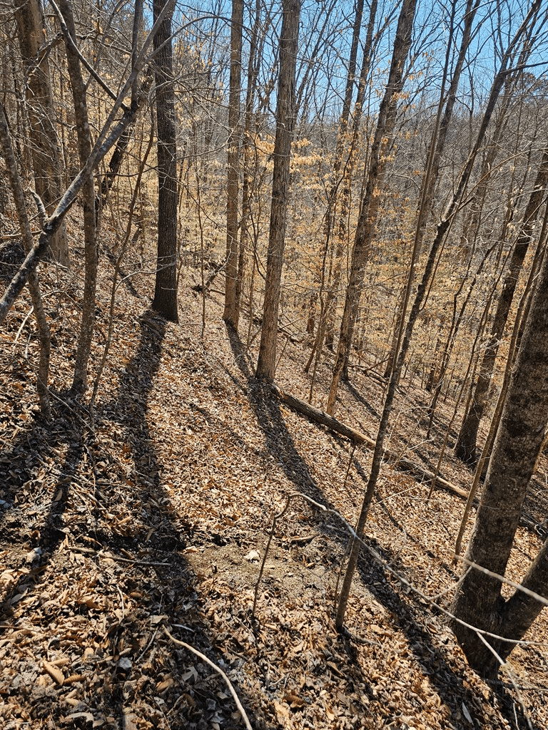 LOT26 Oak Ridge Way, Ellijay GA 30536 - Photo