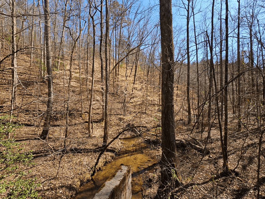 LOT26 Oak Ridge Way, Ellijay GA 30536 - Photo