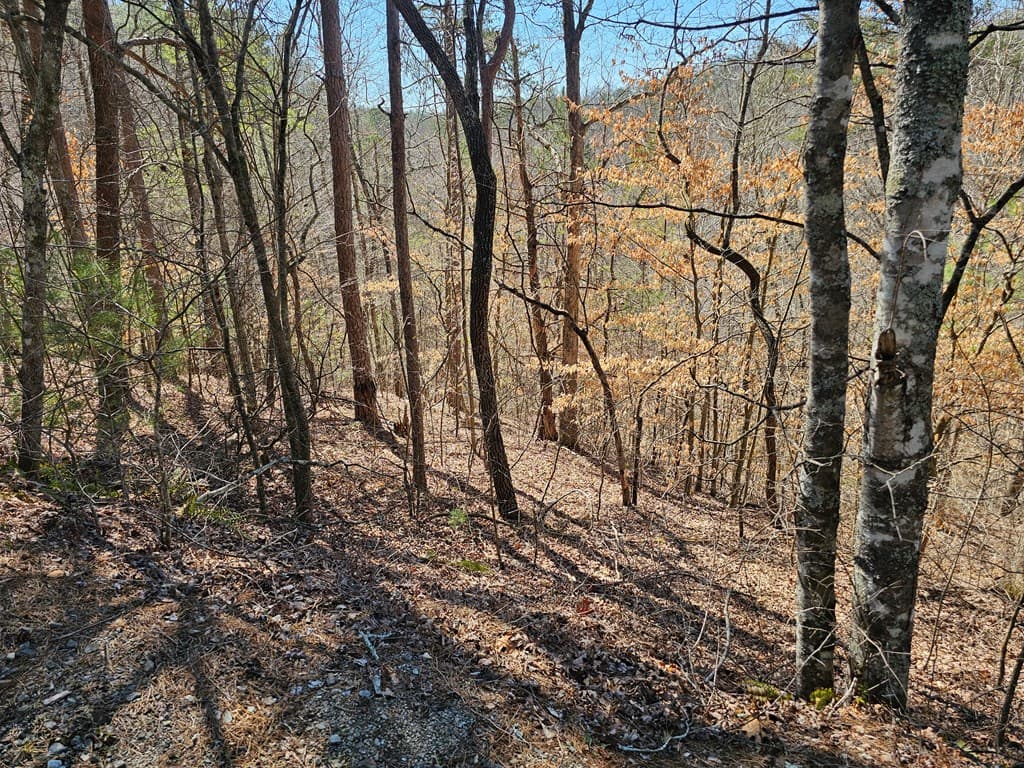 LOT26 Oak Ridge Way, Ellijay GA 30536 - Photo