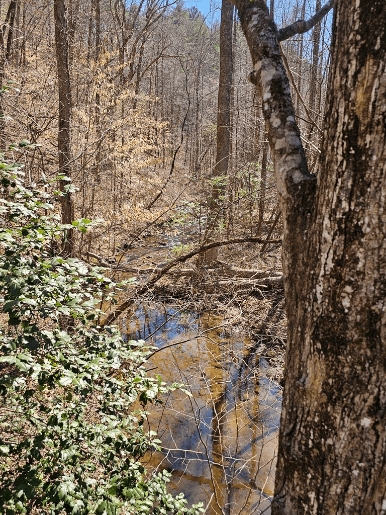 LOT26 Oak Ridge Way, Ellijay GA 30536 - Photo