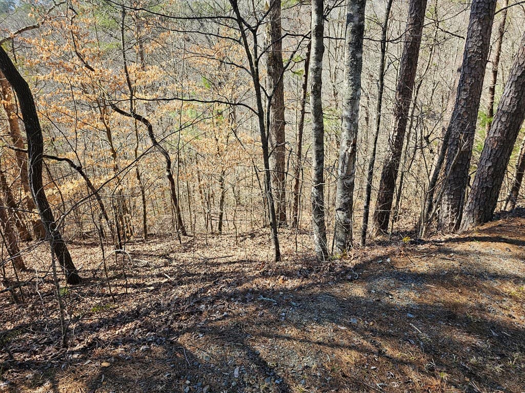 LOT26 Oak Ridge Way, Ellijay GA 30536 - Photo