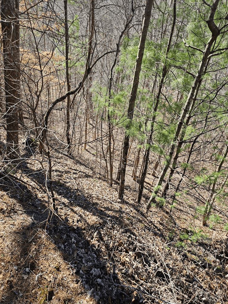 LOT26 Oak Ridge Way, Ellijay GA 30536 - Photo