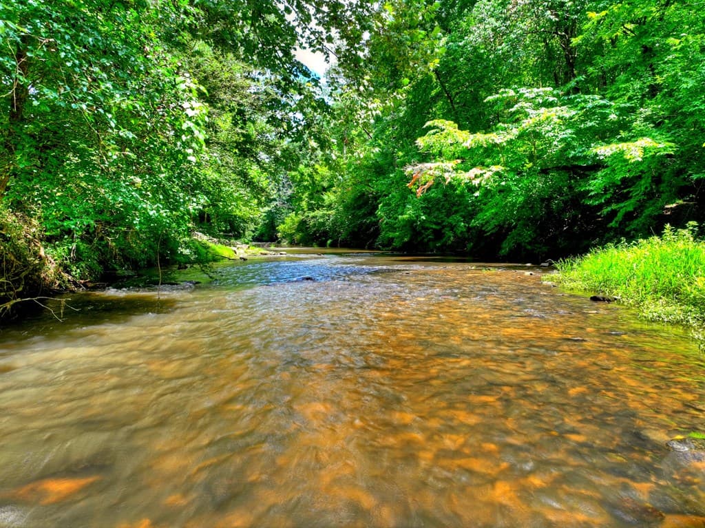 260 Misty Valley Lane, Ellijay GA 30536 - Photo