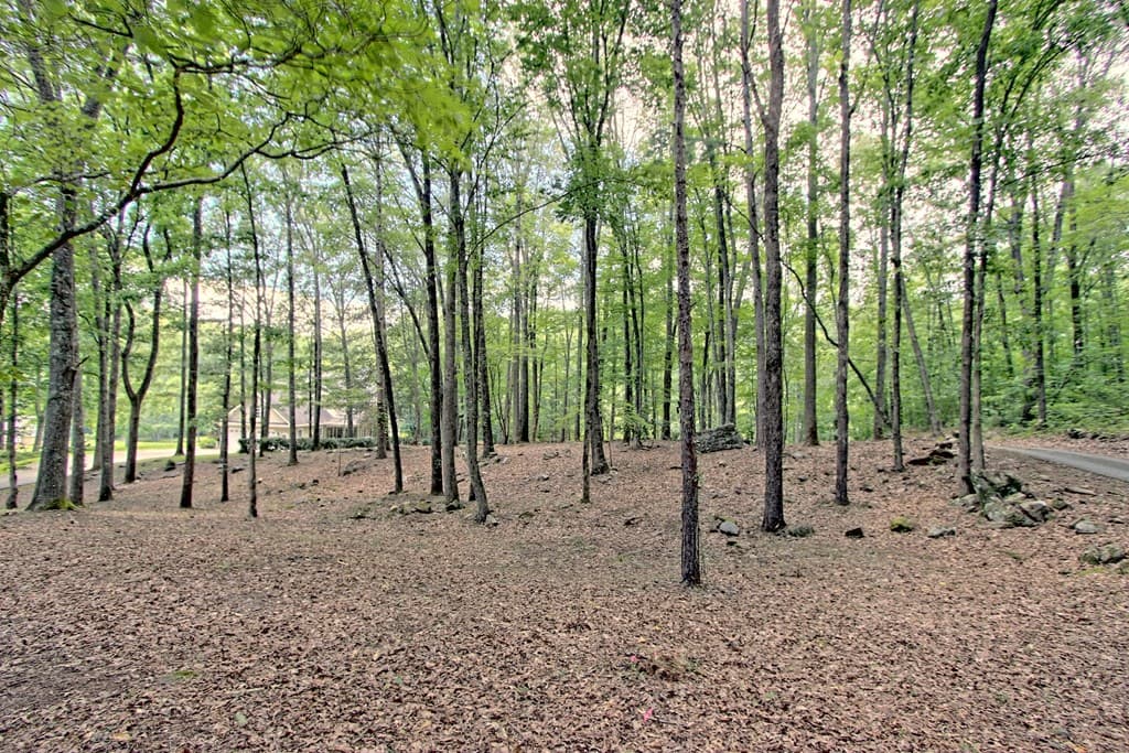 299 Old Homestead Lane, Hayesville NC 28904 - Photo