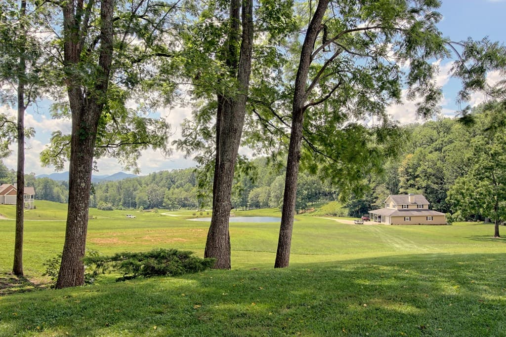 299 Old Homestead Lane, Hayesville NC 28904 - Photo