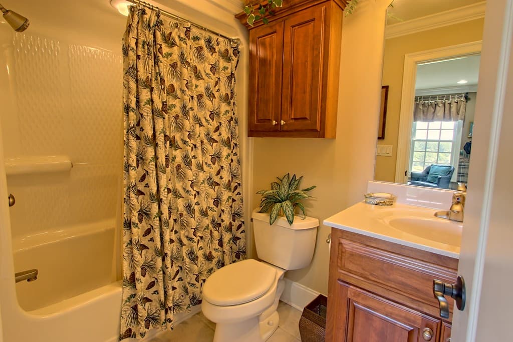 299 Old Homestead Lane, Hayesville NC 28904 - Photo