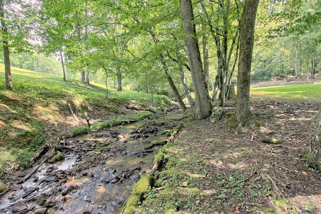 299 Old Homestead Lane, Hayesville NC 28904 - Photo