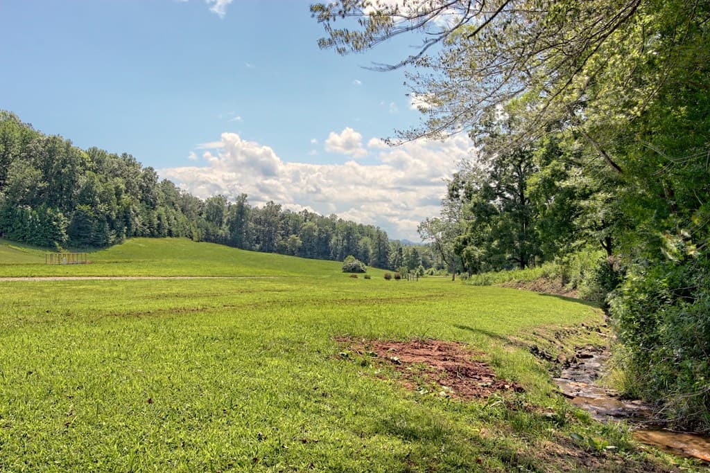 299 Old Homestead Lane, Hayesville NC 28904 - Photo