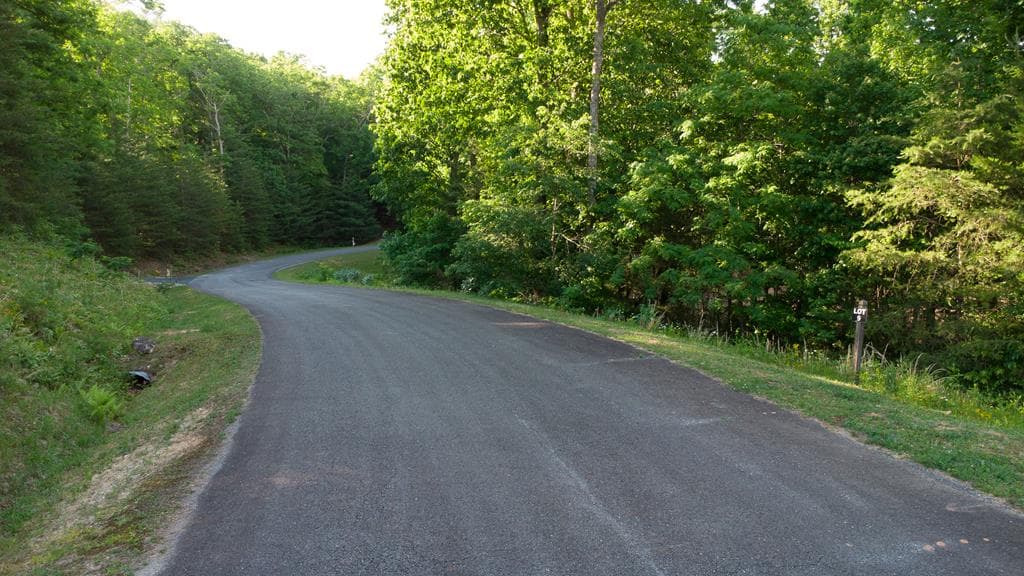 Lot 9 Robert Drive, Ellijay GA 30536