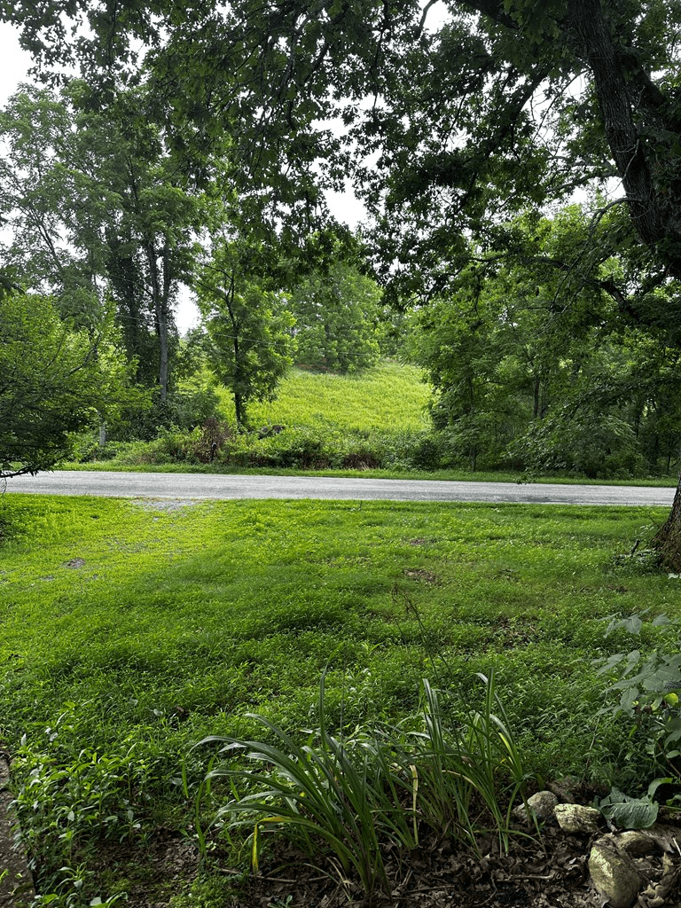 1634 Crisp Road, Murphy NC 28906 - Photo