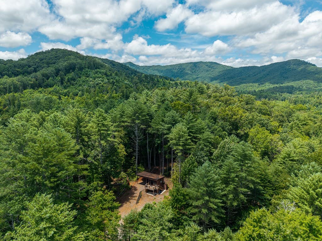 2.31Acre Higdon Creek Road, Blue Ridge GA 30513 - Photo