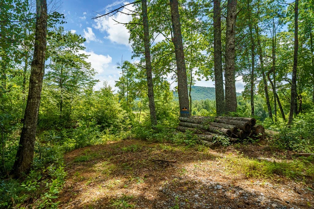 2.31Acre Higdon Creek Road, Blue Ridge GA 30513 - Photo