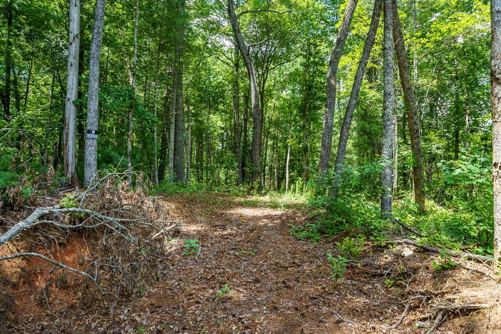 2.31Acre Higdon Creek Road, Blue Ridge GA 30513 - Photo