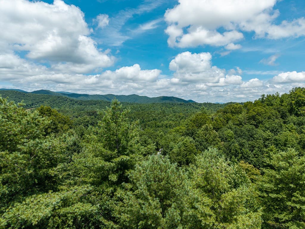 2.31Acre Higdon Creek Road, Blue Ridge GA 30513 - Photo