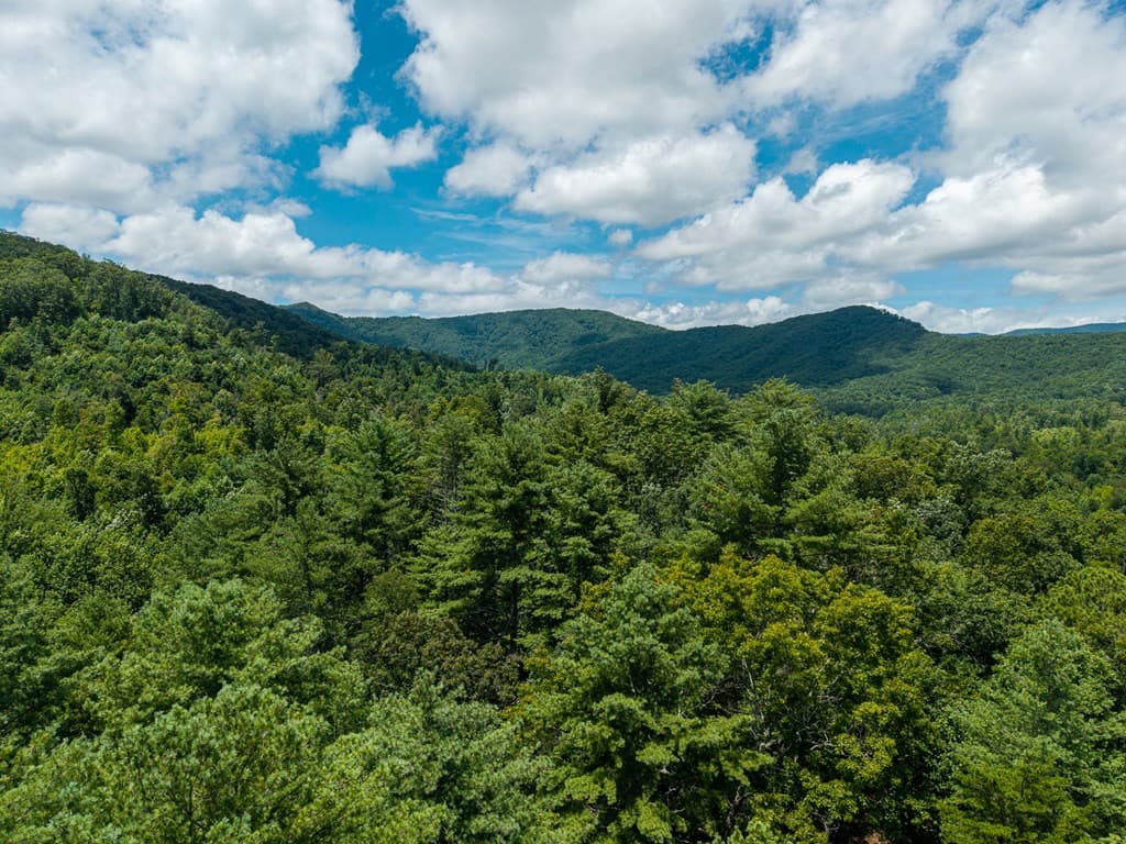2.31Acre Higdon Creek Road, Blue Ridge GA 30513 - Photo
