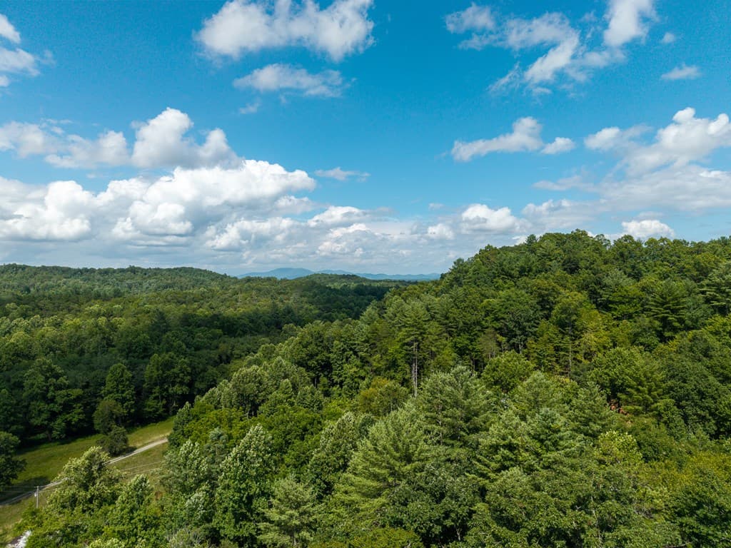 2.31Acre Higdon Creek Road, Blue Ridge GA 30513 - Photo