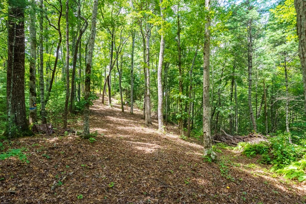 2.31Acre Higdon Creek Road, Blue Ridge GA 30513 - Photo