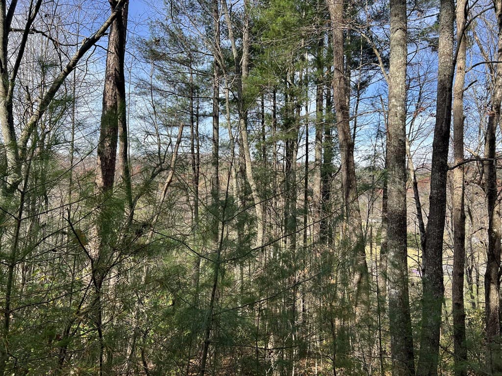 0 Downings Creek Lane, Hayesville NC 28904 - Photo