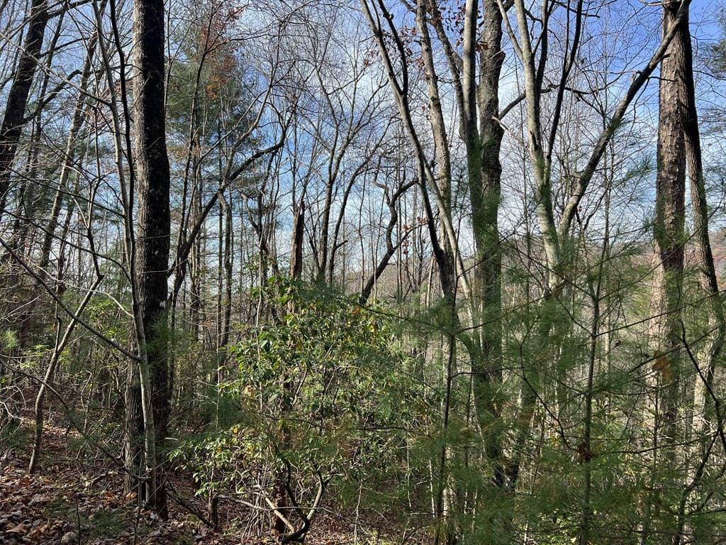 0 Downings Creek Lane, Hayesville NC 28904 - Photo