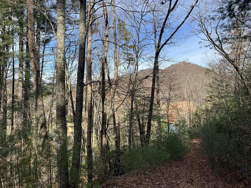 0 Downings Creek Lane, Hayesville NC 28904 - Primary photo