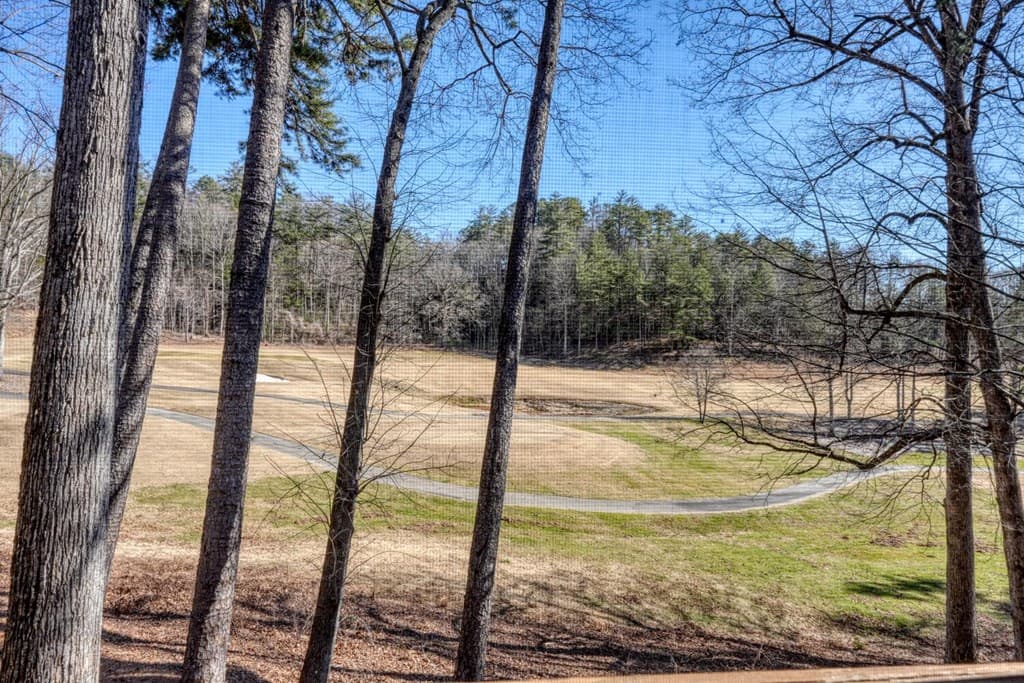 112 Glen Eagle Ct D202, Clayton GA 30525 - Photo
