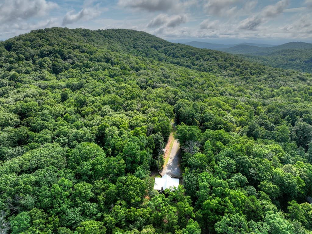 187 Hayden Way Drive, Morganton GA 30560 - Photo