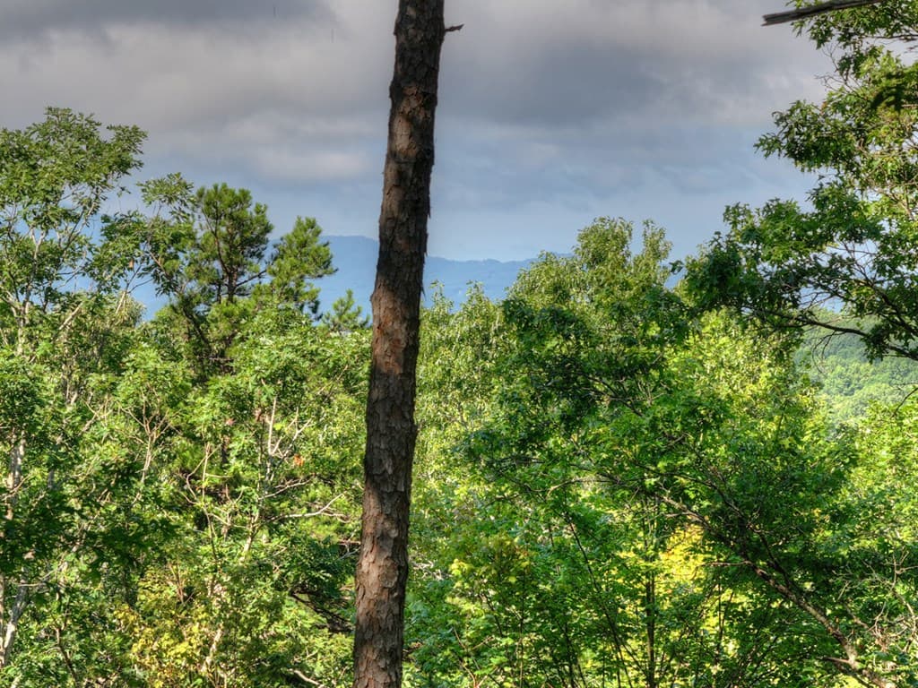 187 Hayden Way Drive, Morganton GA 30560 - Photo