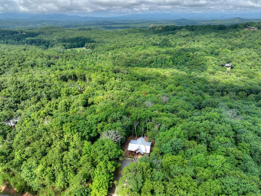 187 Hayden Way Drive, Morganton GA 30560 - Photo