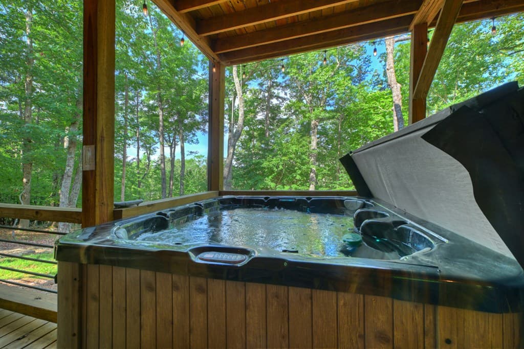 187 Hayden Way Drive, Morganton GA 30560 - Photo