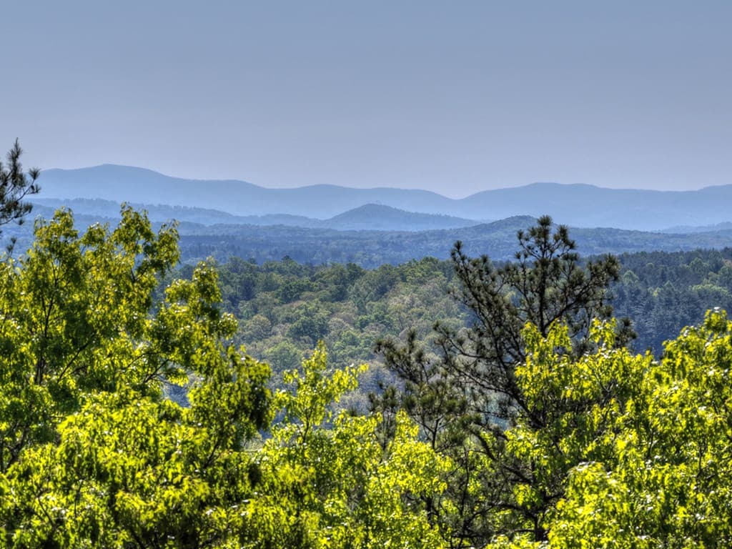 769 Voylestown Road, Morganton GA 30560 - Photo